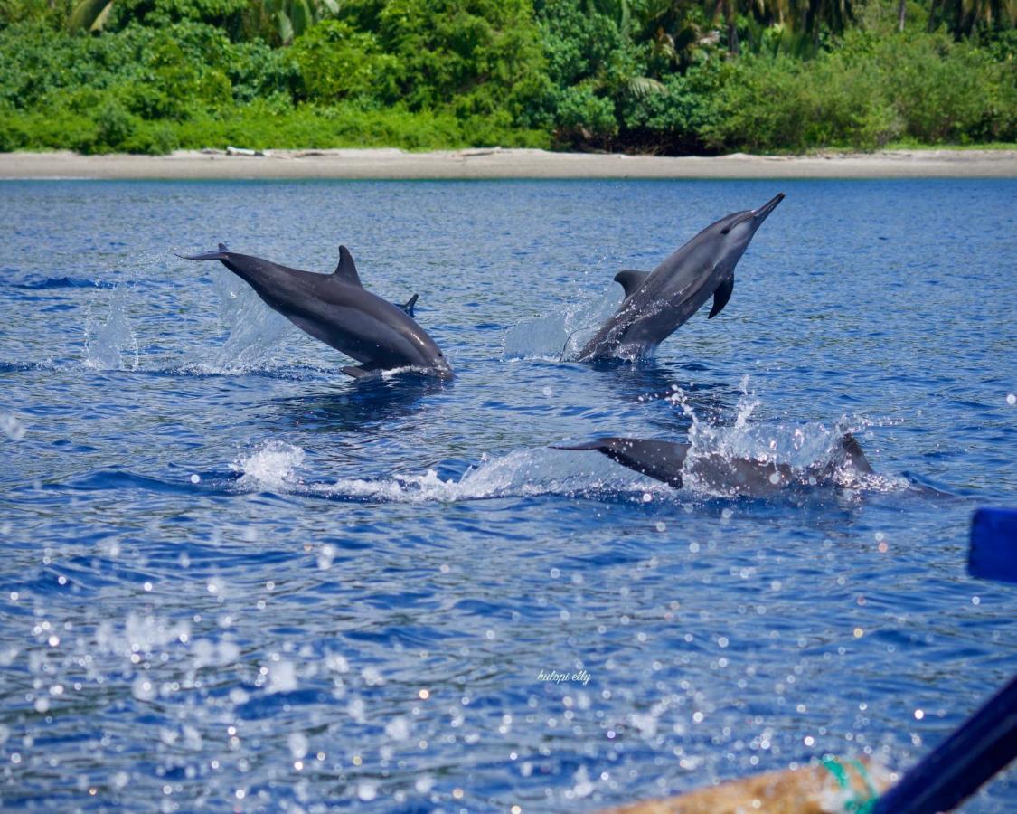 Araya Dive Resort Togean Bomba Екстер'єр фото