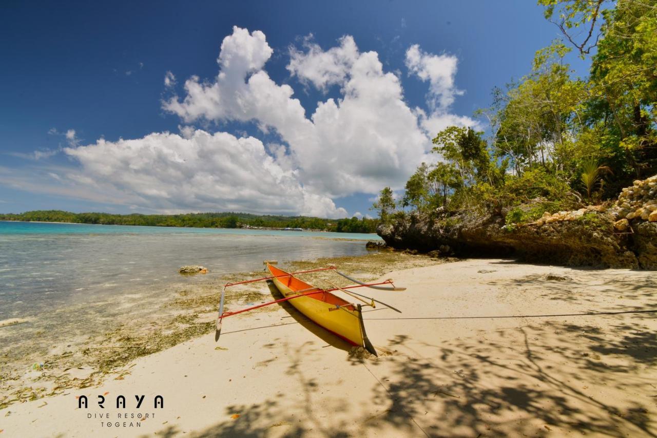 Araya Dive Resort Togean Bomba Екстер'єр фото