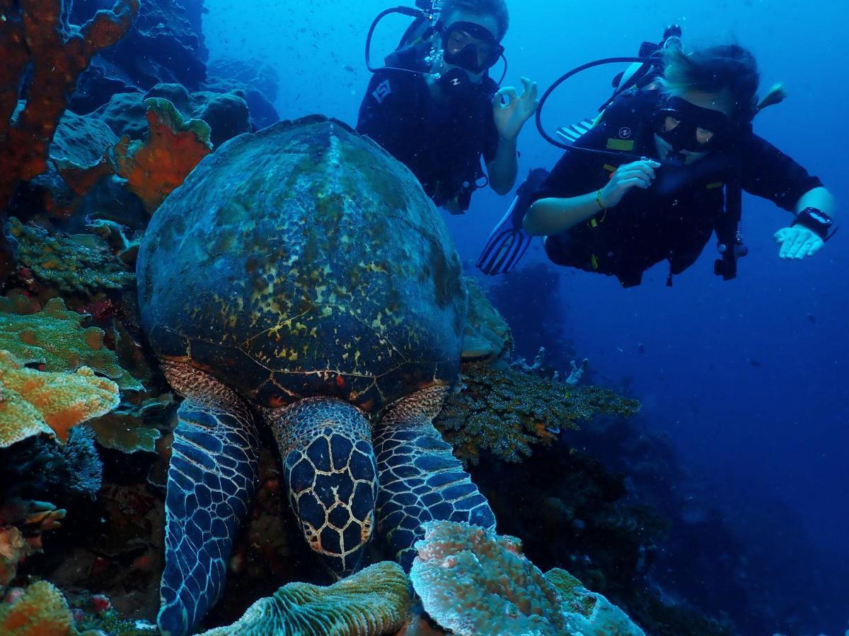 Araya Dive Resort Togean Bomba Екстер'єр фото