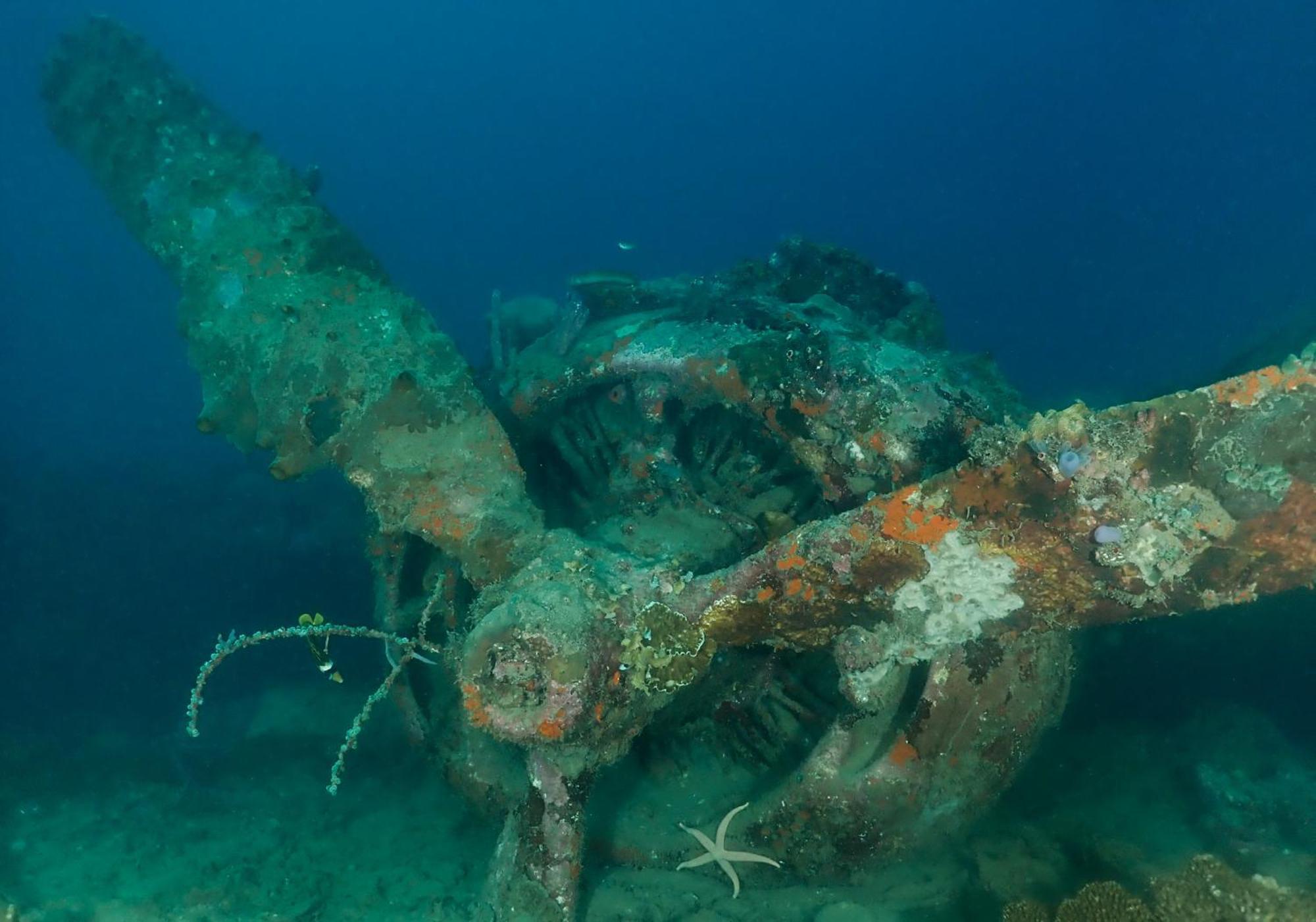 Araya Dive Resort Togean Bomba Екстер'єр фото